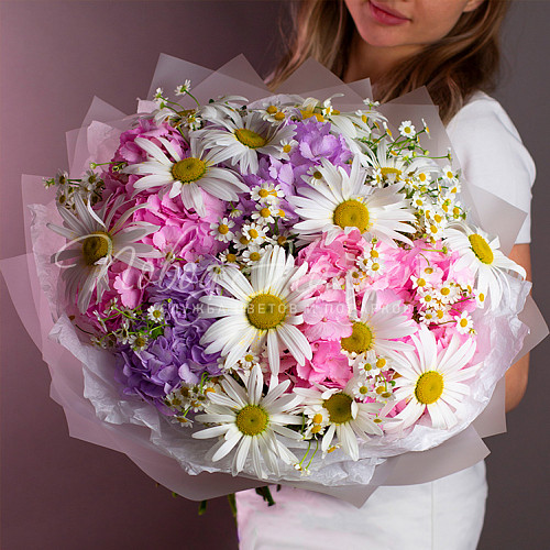 ЛЕТО Свежий ветер