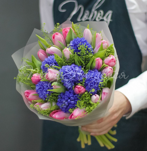 ТЮЛЬПАНЫ Синеглазка