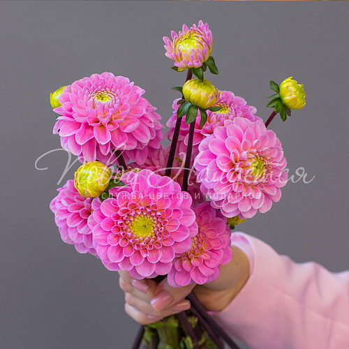 Букет невесты Букет невесты №540