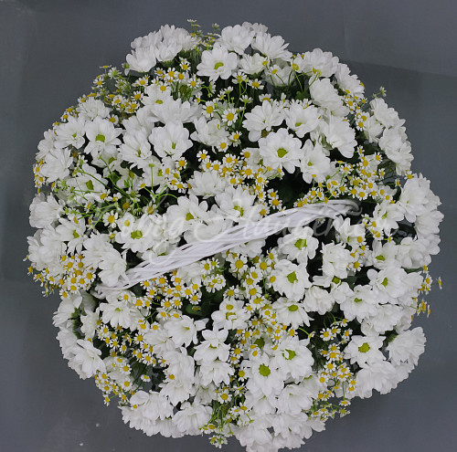 РОМАШКИ Белая вьюга