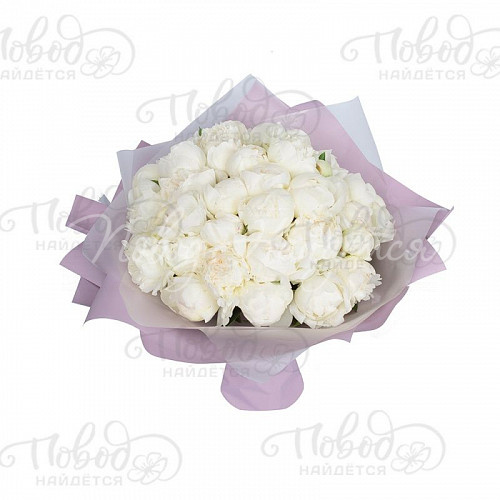 ПИОНЫ Крем-брюле