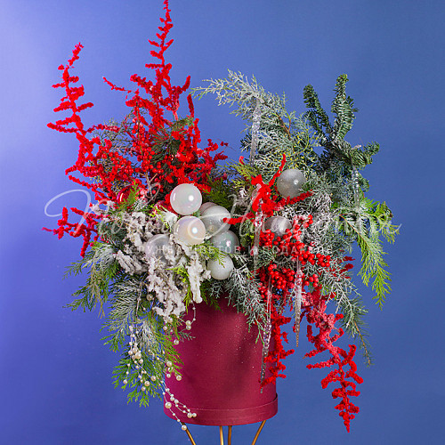 Новый год Тайна хвойного леса