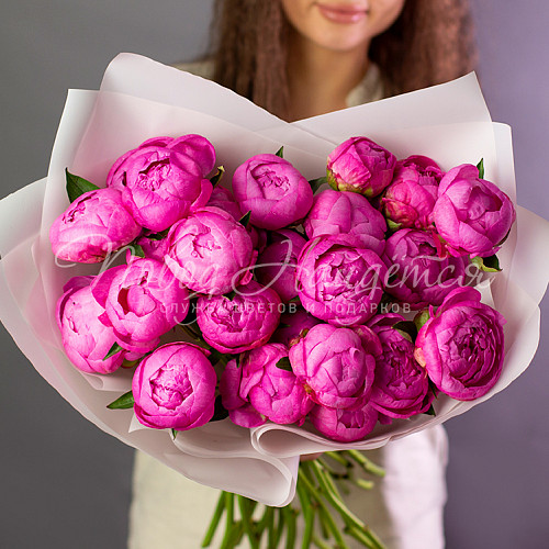 Цветы Сан-Бьянко