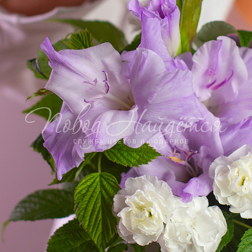 1 сентября Олимпия