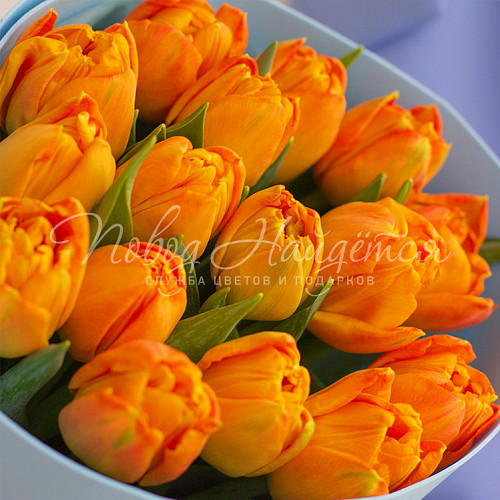 8.03 КОРП Букет Корпоративный 39