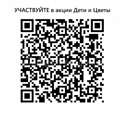 Заботливое сердце