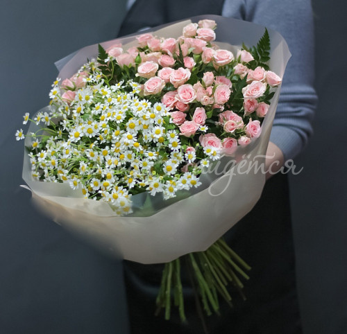 РОМАШКИ Волшебный день