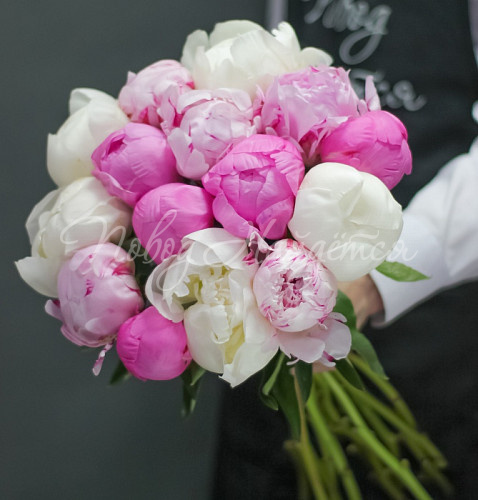 ПИОНЫ Особый