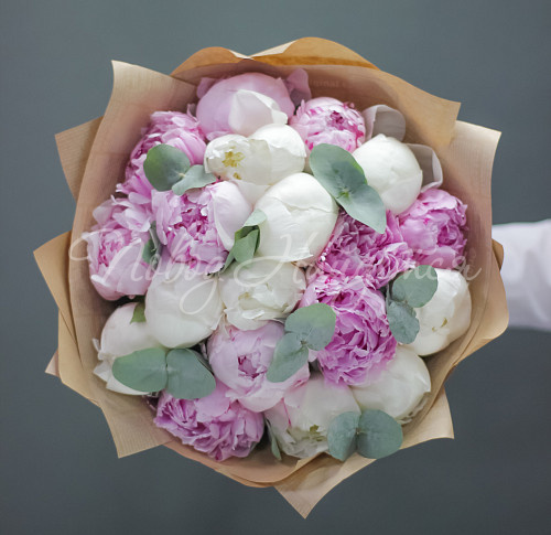 ПИОНЫ Мороженое