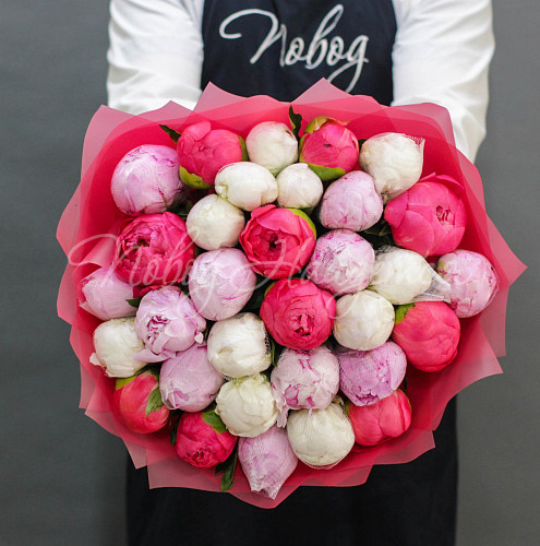 ПИОНЫ Аридея