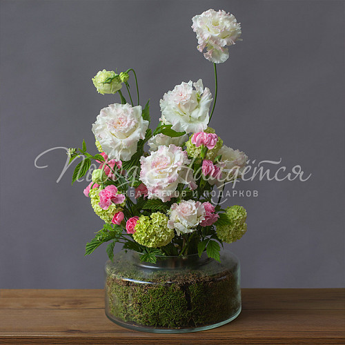 Композиции Композиция № 354