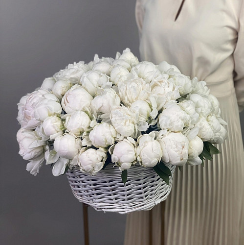 ПИОНЫ Воздушное путешествие