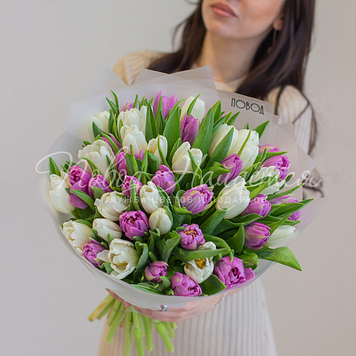 ТЮЛЬПАНЫ Весенняя капель