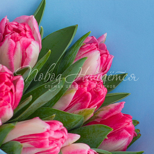 8.03 КОРП Букет Корпоративный 34