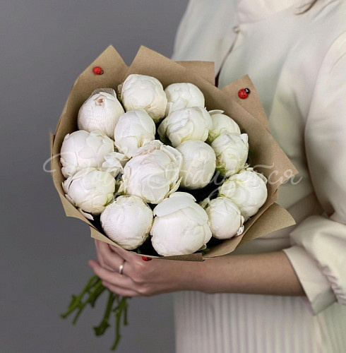 ПИОНЫ Ласковый рассвет