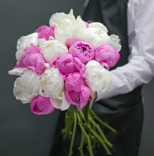 ПИОНЫ Мускат