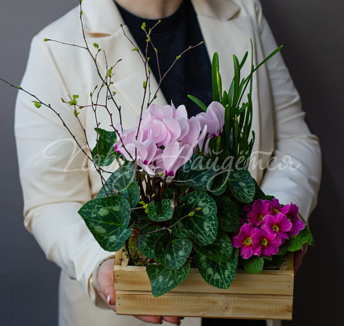 8.03 Весенний сад малый