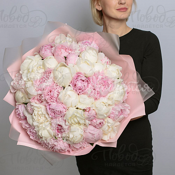 ПИОНЫ Трепетная любовь