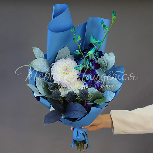 1 сентября Любимчик