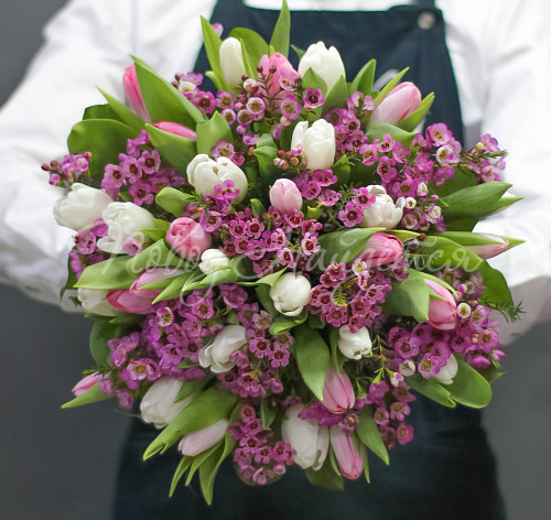 ТЮЛЬПАНЫ Весенние ласточки