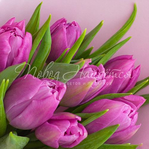 8.03 КОРП Букет Корпоративный 33