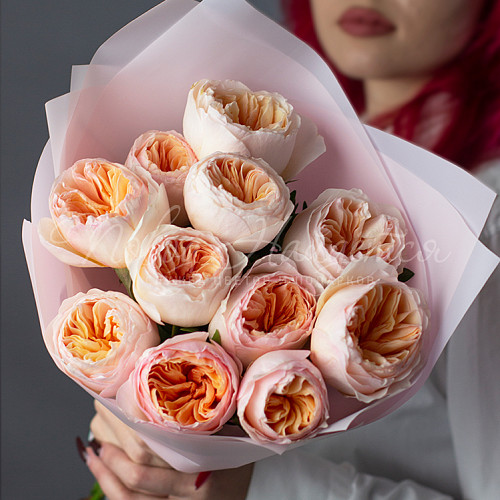 Пионовидные розы Персиковый аромат