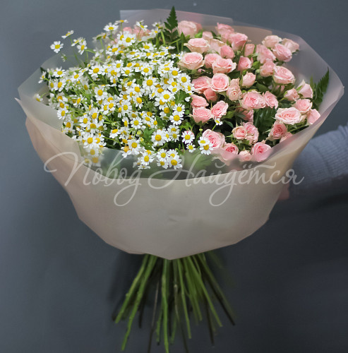 РОМАШКИ Волшебный день