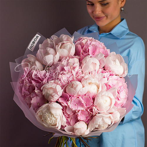 ГОРТЕНЗИИ Яркие блики