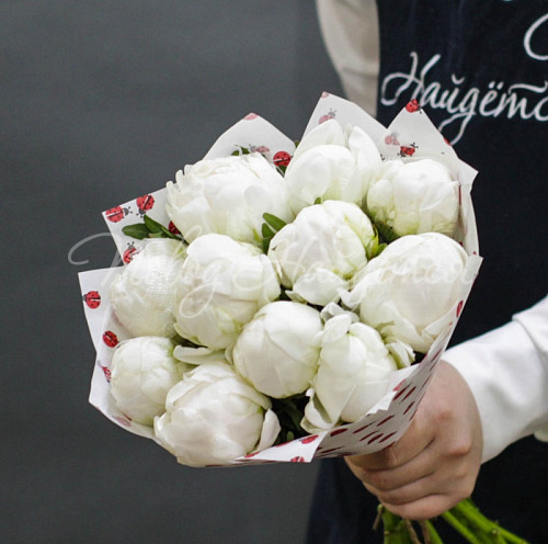 ПИОНЫ Прикосновение лета