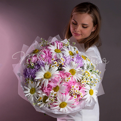 ЛЕТО Свежий ветер