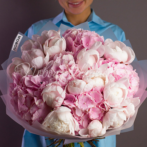 ГОРТЕНЗИИ Яркие блики