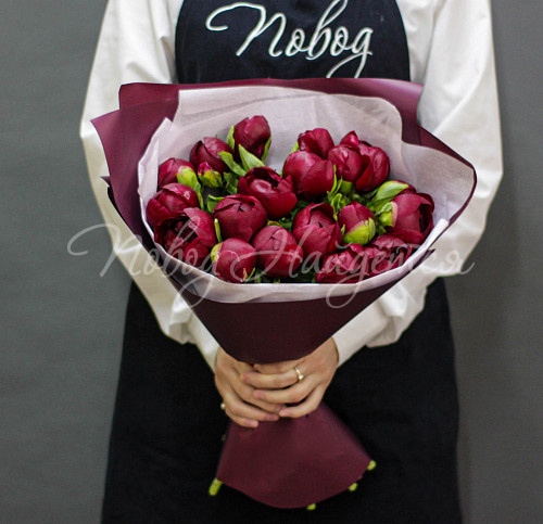 ПИОНЫ Горький шоколад