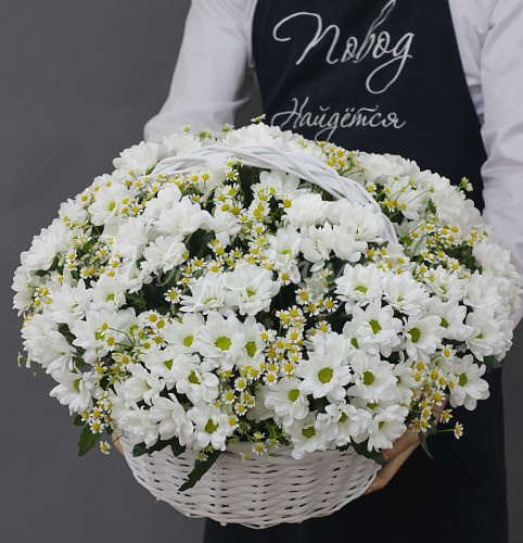 РОМАШКИ Белая вьюга