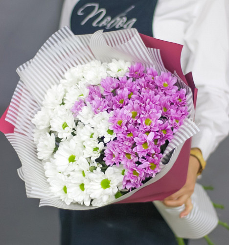 ХРИЗАНТЕМЫ Магия утра