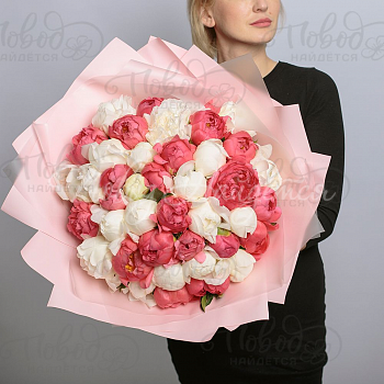 ПИОНЫ Коралловые рифы