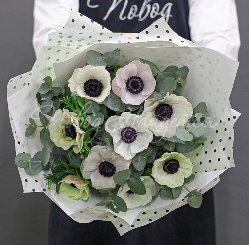 АНЕМОНЫ Эльза