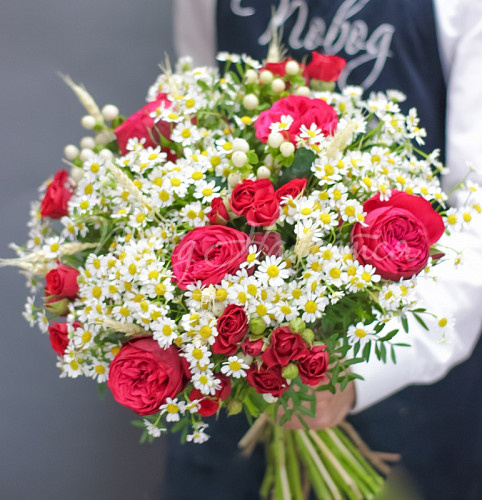 РОМАШКИ Итальяночка