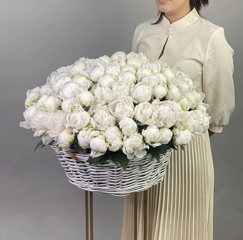 ПИОНЫ Молочная речка