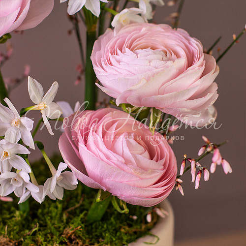 ВЕСНА Морозная клюква