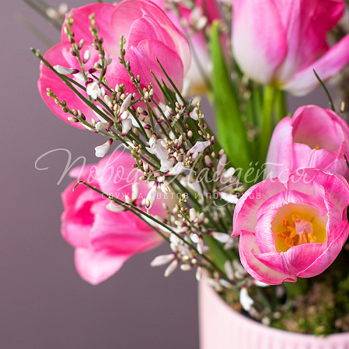 ВЕСНА Мелодия весны