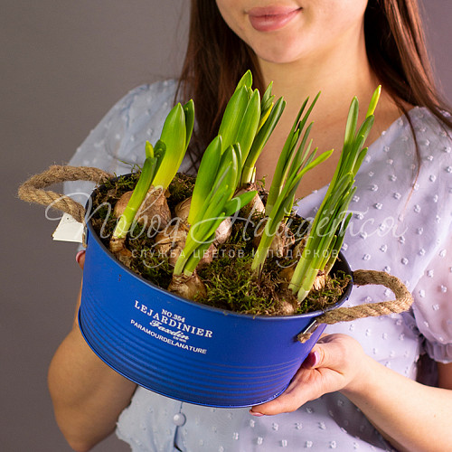 23.02 Лучики весны