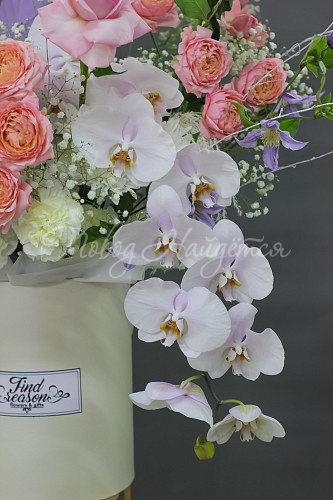 10 000 - 20 000 руб Инста Дива