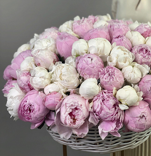 ПИОНЫ Отрываюсь от Земли