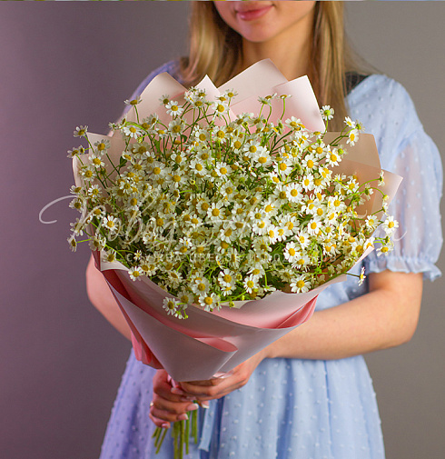 Камилла