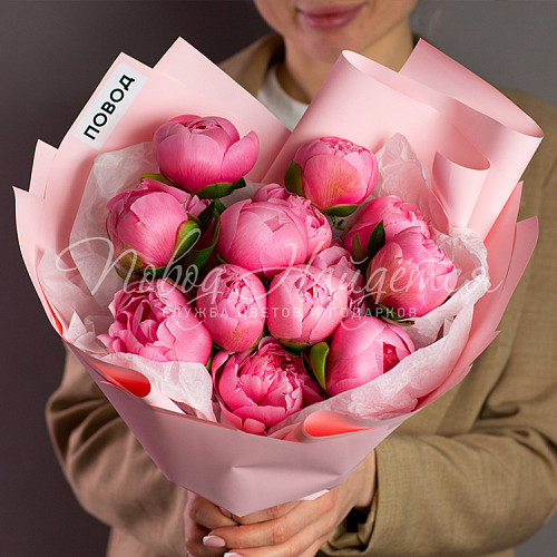 ПИОНЫ Моя избранница