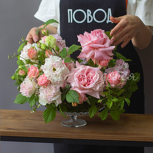 Композиции Композиция № 353