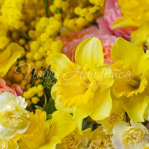 8.03 Путь к солнцу