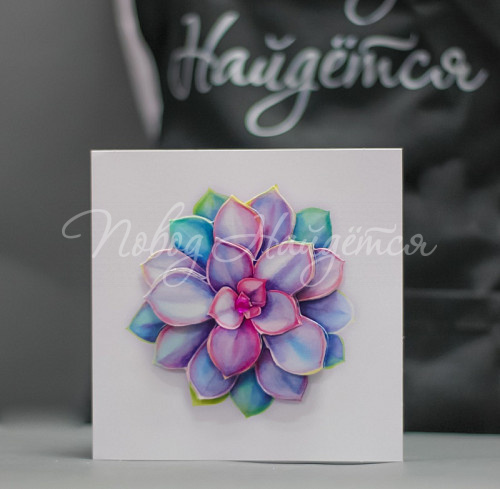  Открытка (цветок)