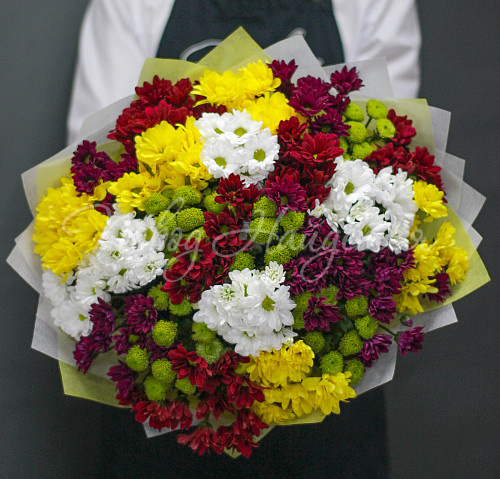 ХРИЗАНТЕМЫ Прелестная симфония