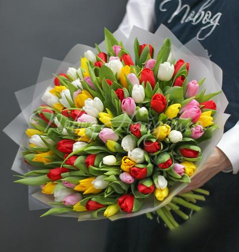 ТЮЛЬПАНЫ Карнавал